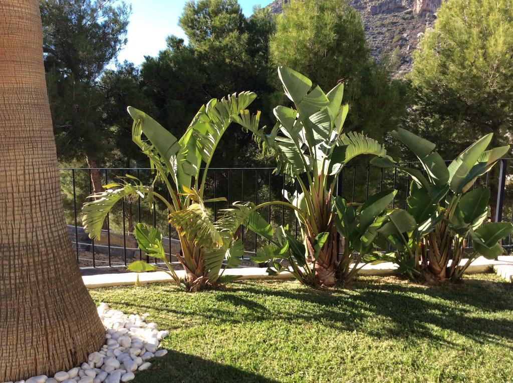Olivos Holiday Home Altea Quarto foto